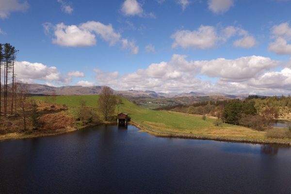 Tarn