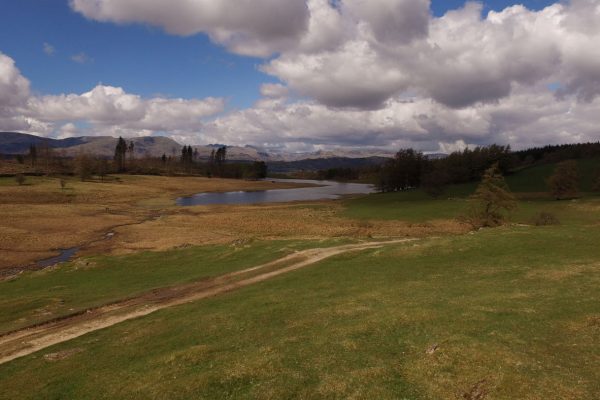 Tarn