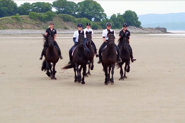 The Friesian Experience - Black Horses on Bardsea Beach, Cumbria