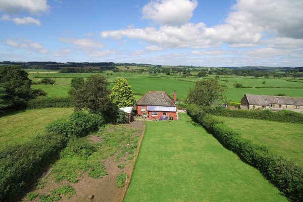 Holly Bank