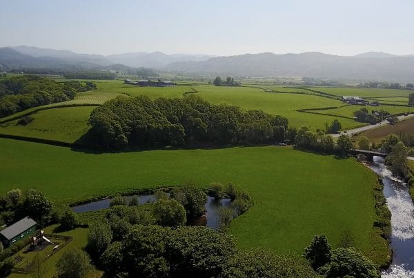 Holmrook
