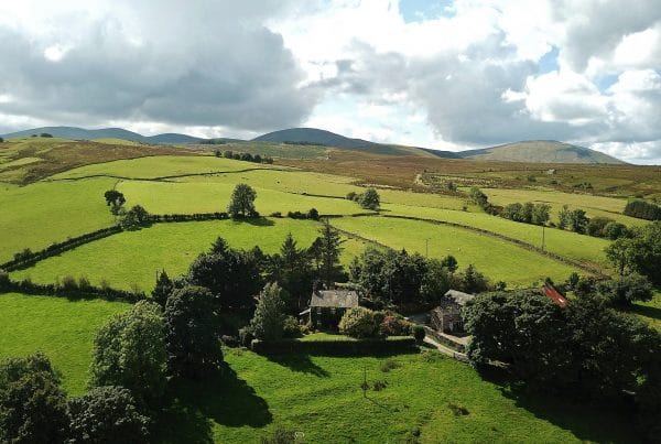 Bank House Farm