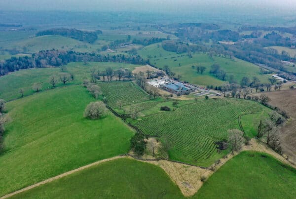 New UK Tree Plantations In Yorkshire Dales